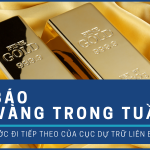 Kinh tế - tài chính Việt Nam