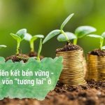 Kinh tế - tài chính Việt Nam