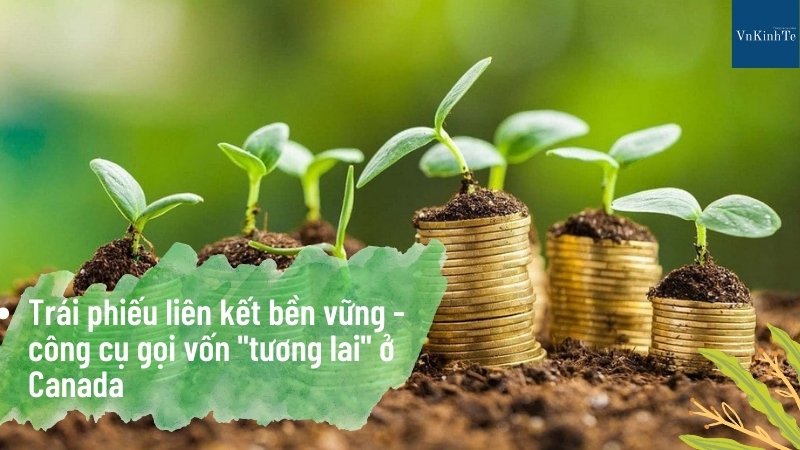 Các trái phiếu xanh - liên kết phát triển bền vững - đây là cách chúng hoạt động