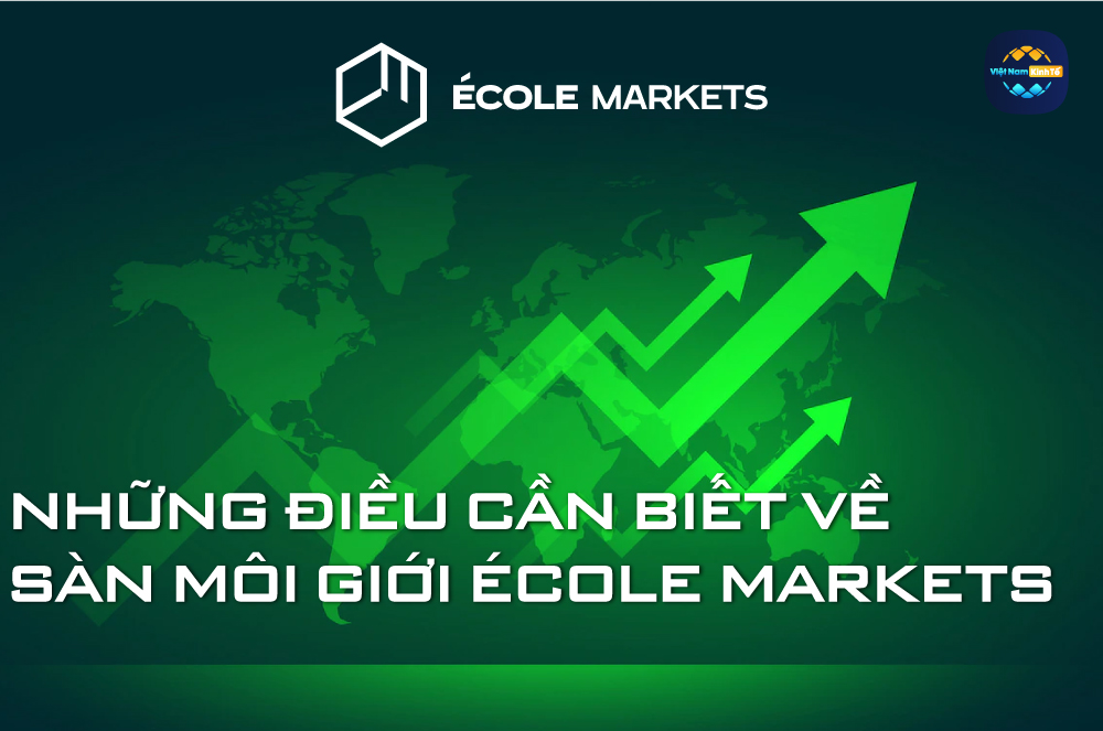 Những Điều Cần Biết Về Sàn Môi Giới Ecole Markets