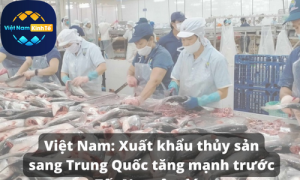 Kinh tế - tài chính Việt Nam