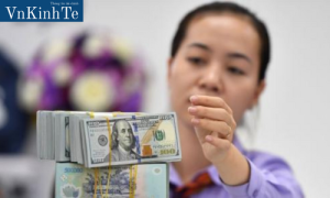 Kinh tế - tài chính Việt Nam