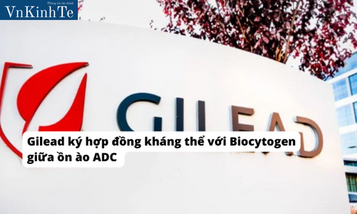 Gilead ký hợp đồng kháng thể với Biocytogen giữa ồn ào ADC