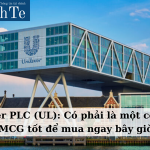 Prince Markets: Năng lượng REE hoàn tất thoái 2 triệu cổ phiếu PPC